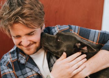 Pourquoi un chien lèche tout le temps son maitre ?