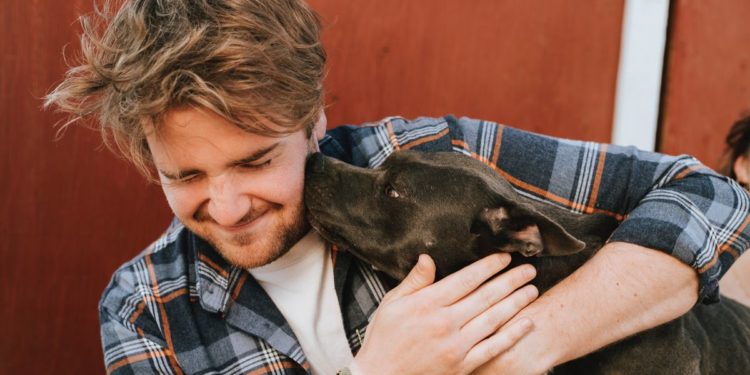 Pourquoi un chien lèche tout le temps son maitre ?