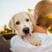 Comment savoir si mon chien est heureux avec moi ?