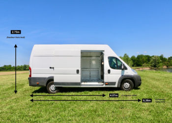 Pourquoi un chat nous choisi ?