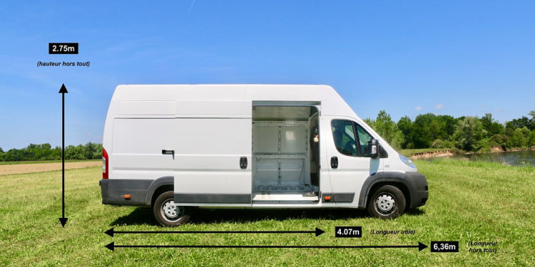 Pourquoi un chat nous choisi ?