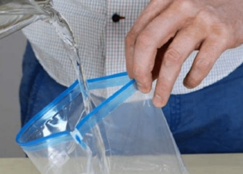 Comment faire pour tuer les mouches ?