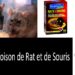 Quel poison pour les rats ?