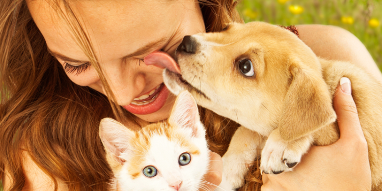 Comment lutter contre les puces de chien ?