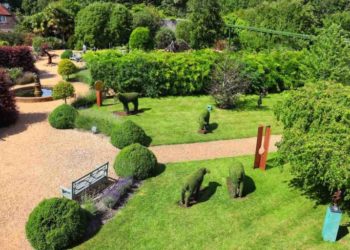 Est-ce que le vinaigre blanc tue les puces ?