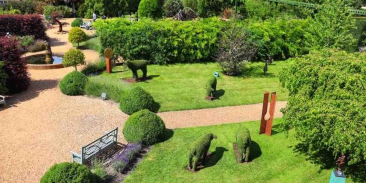 Est-ce que le vinaigre blanc tue les puces ?