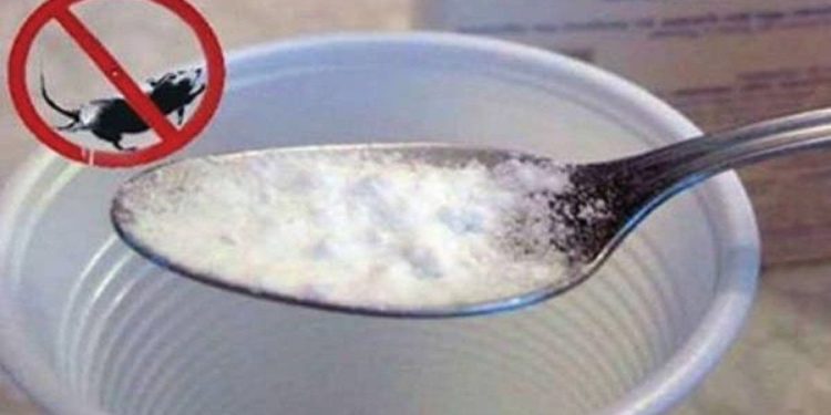 Comment se débarrasser des souris définitivement et naturellement ?