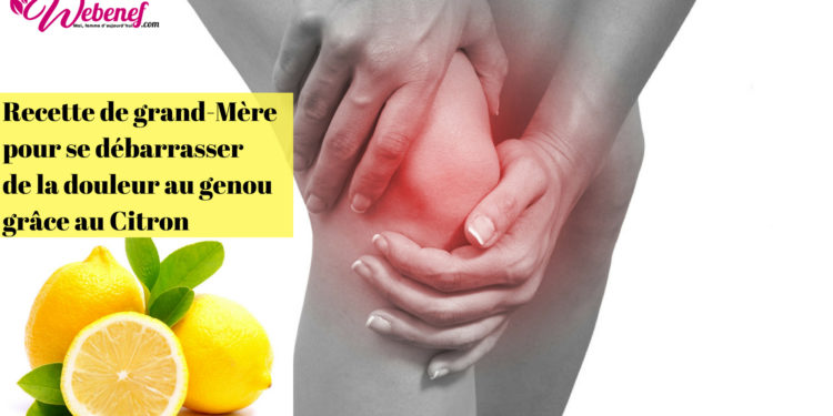 Comment faire pour se débarrasser des souris remède de Grand-mère ?