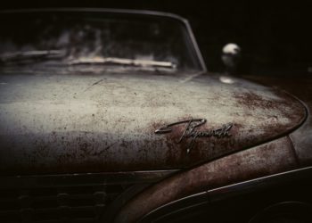 Comment faire pour se débarrasser d'une marmotte ?