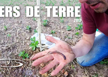 Comment faire sortir les vers de terre ?