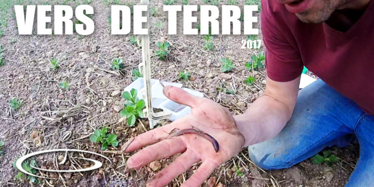 Comment faire sortir les vers de terre ?