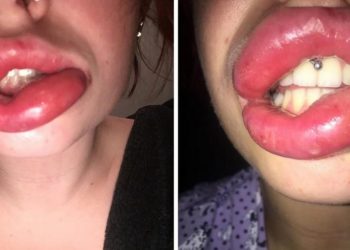 Est-ce que le faucheux à une bouche ?