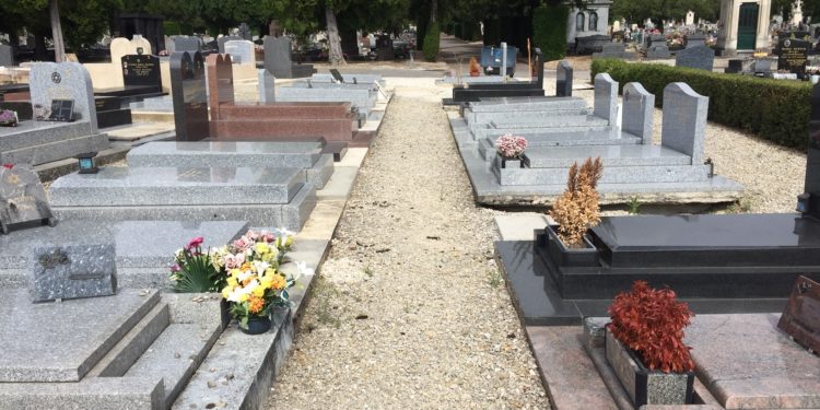 Est-ce qu'une tique tombe toute seule ?