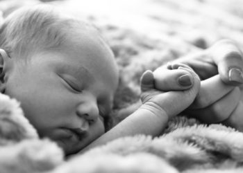 Comment s'occuper d'un bébé cochon ?