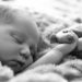 Comment s'occuper d'un bébé cochon ?