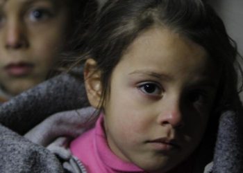 Comment mettre fin aux souffrances d'un chat ?