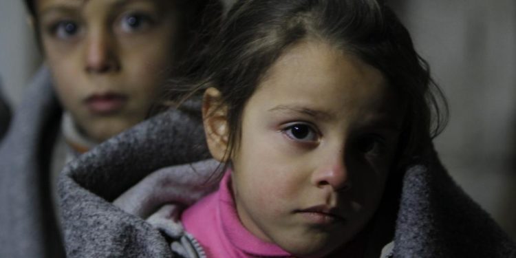 Comment mettre fin aux souffrances d'un chat ?