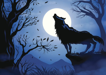 Pourquoi les loups hurle à la lune ?