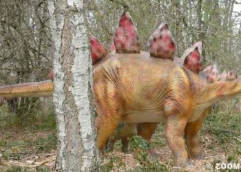 Est-ce qu'il existe encore des dinosaures ?