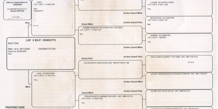 Comment savoir si un chien est inscrit au LOF ?