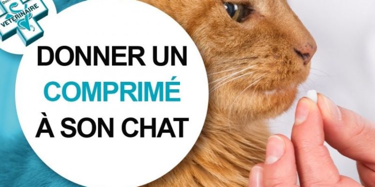 Comment donner Canidiarix ?