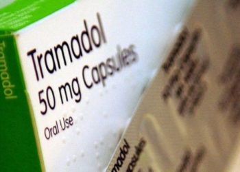 Qu'est-ce qui peut provoquer la mort subite d'un chat ?