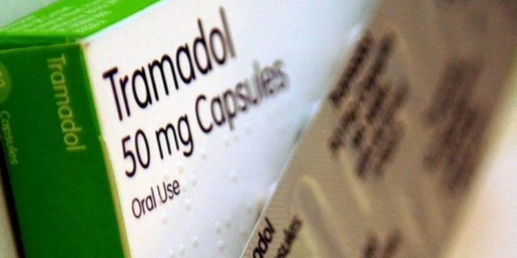 Qu'est-ce qui peut provoquer la mort subite d'un chat ?