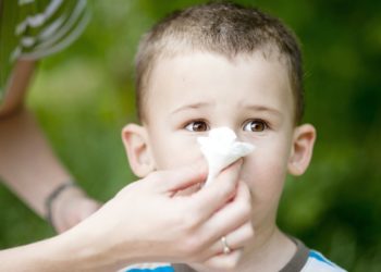 Comment arrêter un saignement chez un chat ?