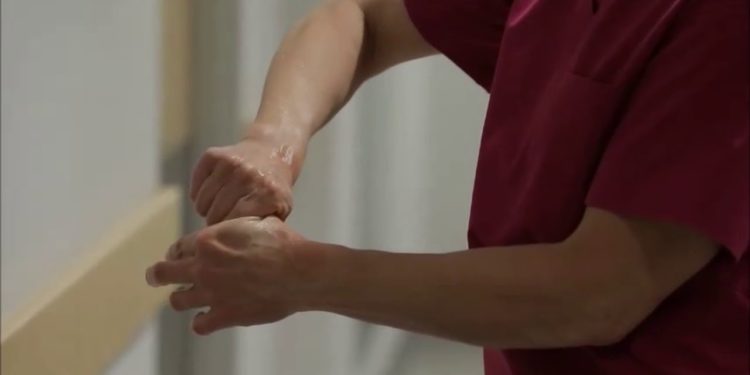 Comment Desinfecter calicivirus ?