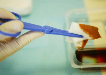 Quel antiseptique utilisé pour les plaies d'un chat ?