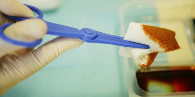 Quel antiseptique utilisé pour les plaies d'un chat ?