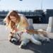 Comment soigner un coup de chaud chez le chien ?