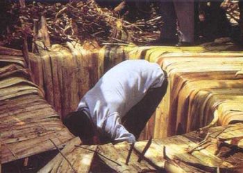 Comment se soigner de l'urée ?