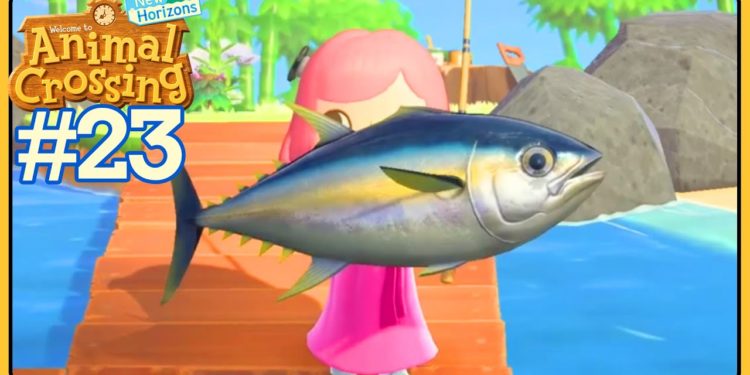 Comment avoir poisson rare Animal Crossing New Horizon ?