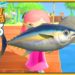 Comment avoir poisson rare Animal Crossing New Horizon ?