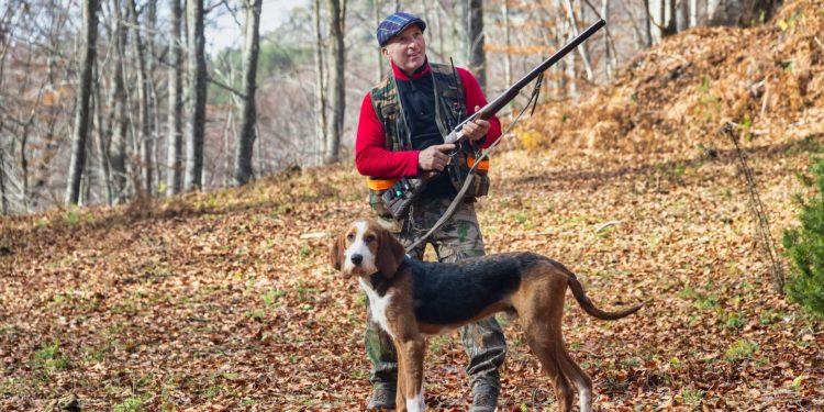 Quel chien est le meilleur chasseur de rat ?