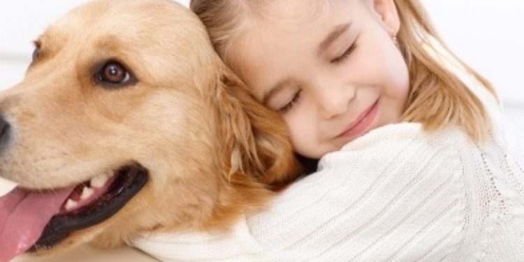 Quel chien Peut-on laisser seul ?