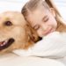 Quel chien Peut-on laisser seul ?