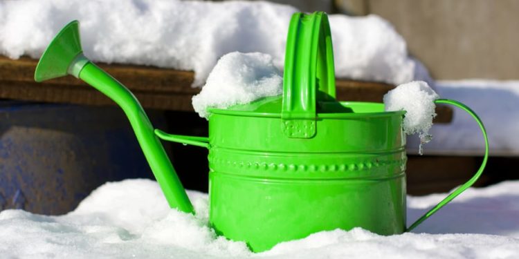 Est-ce que les mouches meurent en hiver ?