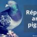 Quelle odeur fait fuir les pigeons ?