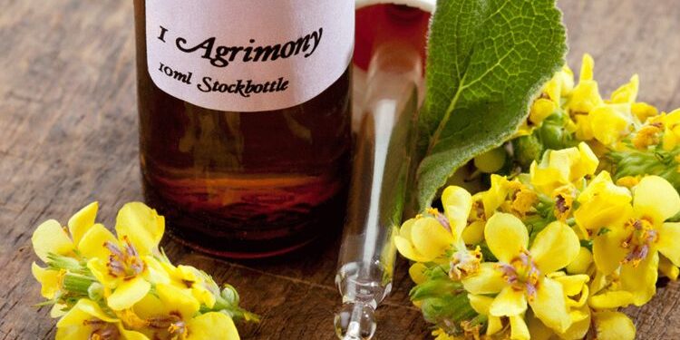 Comment donner des fleurs de Bach a un chat ?