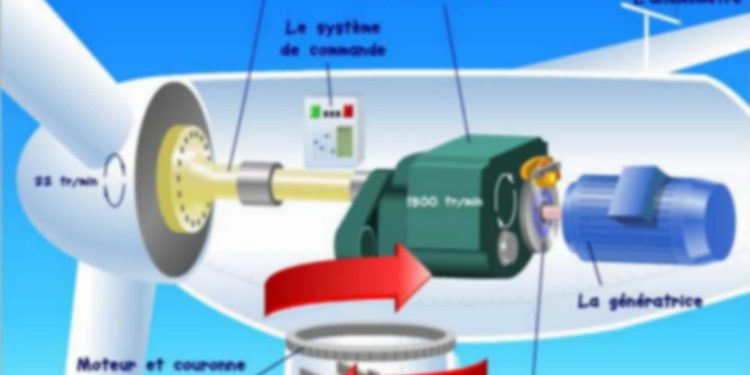 Comment fonctionne le Bravecto ?