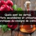 Quelles sont les propriétés du vinaigre d'alcool ?