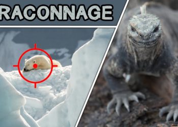 Quel est l'animal le plus braconner au monde ?