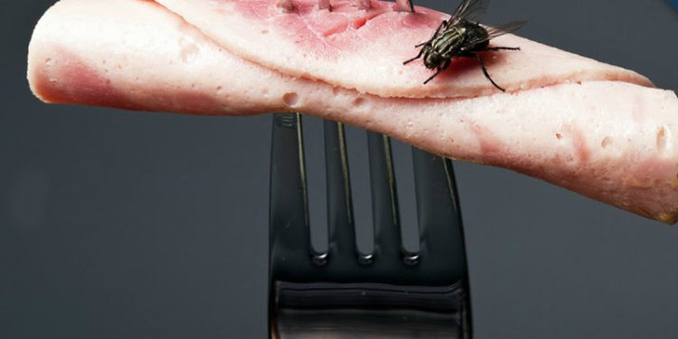 Quand une mouche se pose ?