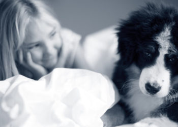 Comment se manifeste une gastrite chez le chien ?