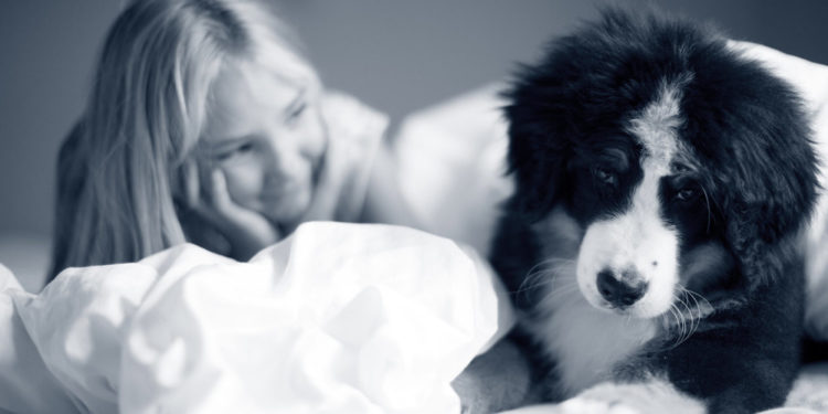 Comment se manifeste une gastrite chez le chien ?