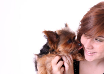 Quel chien pour quel maitre ?