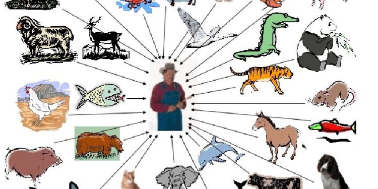 Pourquoi l'homme est omnivore ?