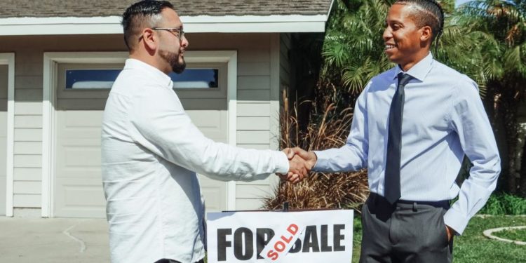 Comment savoir si l'on achète de la bonne spiruline ?